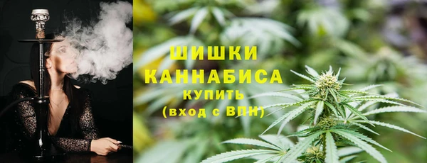 apvp Осташков