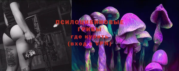 сатива Осинники