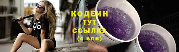 apvp Осташков