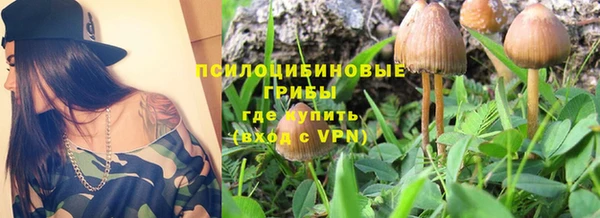 сатива Осинники