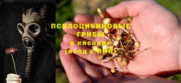стафф Ветлуга