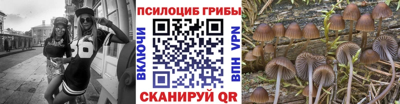 продажа наркотиков Исилькуль Псилоцибиновые грибы мухоморы